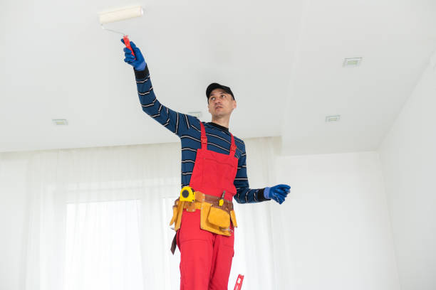 Professional Dry wall and painting in St Paul, MO